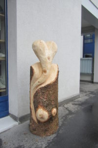 Bilder neu 075